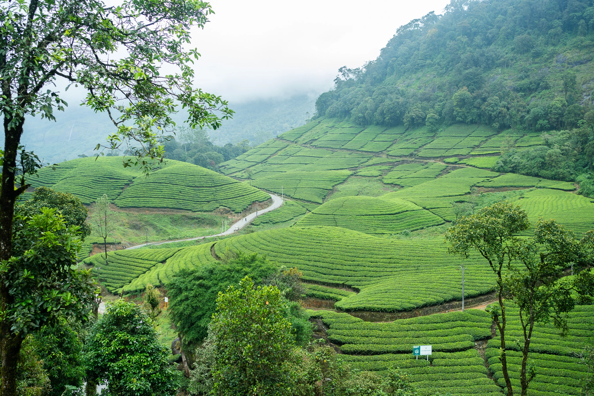 Backwater resort view